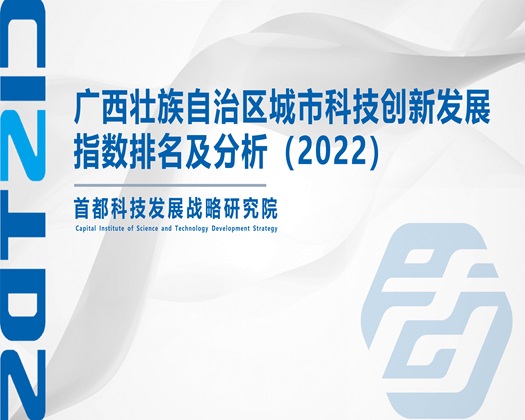 好吊操逼干【成果发布】广西壮族自治区城市科技创新发展指数排名及分析（2022）